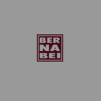 Bernabei IT logo