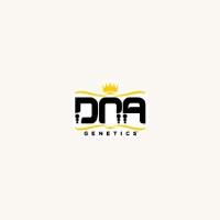 33% OFF On Kosher Dawg Autoflower Cannabis Seeds: DNA Genetics Store Sale