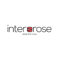 Free Shipping On All Products At Inter Rose