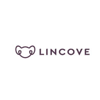 The Lincove Pillow Bag Only For €34