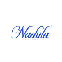 Avail -$ 53.92 Nadula Youtuber's Same Yaki Straight 7x5 And 5x5 Bye Bye Knots Put On and Go Glueless Lace Wig Light Kinky Straight Nadula