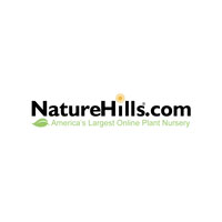 18% Off On Red Baron Japanese Blood Grass at NatureHills