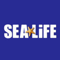 Standard Tickets + VR Experience For €31.50 : Sea Life Store Sale