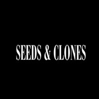 Platinum Cookies x Gorilla Glue For $60 At Seeds & Clones