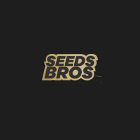 Grand Daddy Purple Seeds – Autoflower For 39$: SeedsBros Store Sale