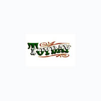 ToyDay logo
