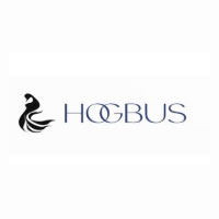67% OFF On The Secret Scale System At Hogbus Store Sale