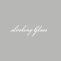 STUDIO Stands or Mounting Only For £535 Looking Glass Pro