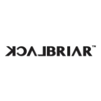 Black Briar logo