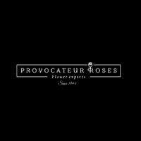 Provocateur Roses logo