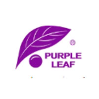 Purple Leaf DE logo