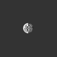 SpyderWare logo