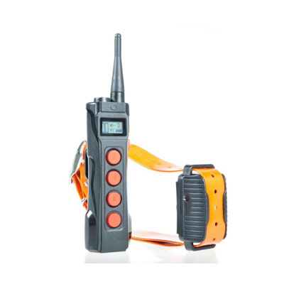 Aetertek AT-919C Dog Training Collar
