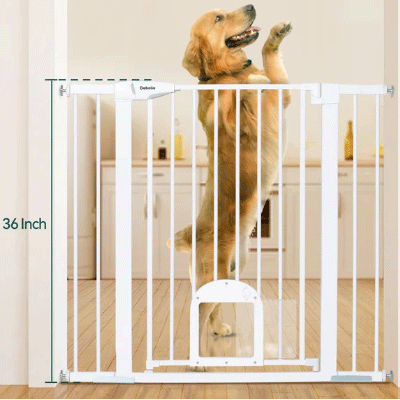 Babelio 36