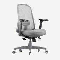 OdinLake Ergo CORE 625