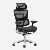 OdinLake Ergo PLUS 743