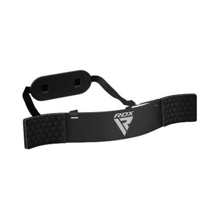 RDXT2 Plus Arm Blaster for Biceps Curl