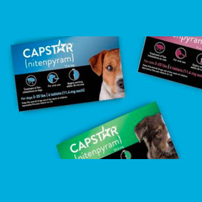 Capstar Flea Control for Dogs