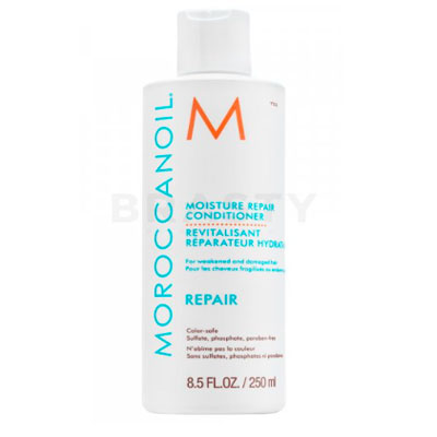 Moroccanoil Repair Moisture Repair Conditioner